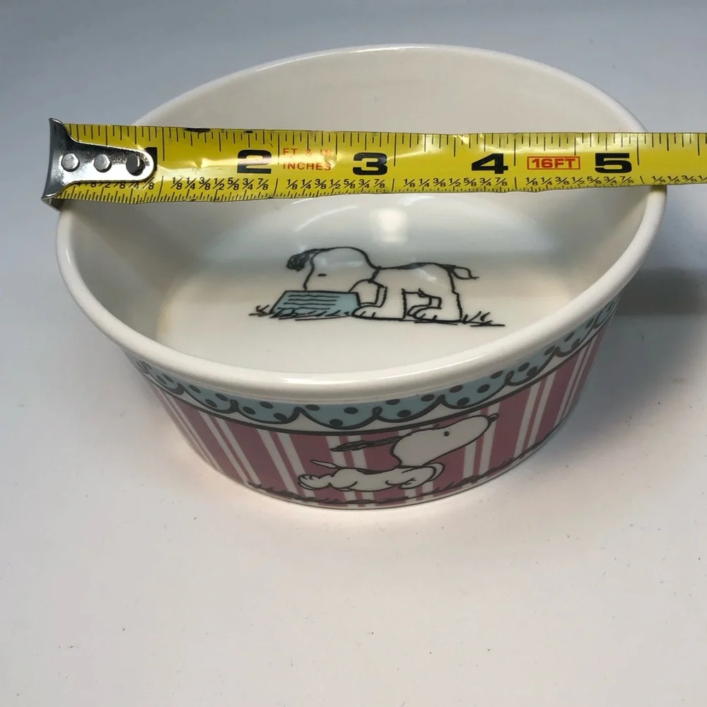 Snoopy Ceramic Bowl with Pink Stripes beautiful colors
